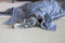 Dog Central Indigo Blanket