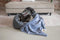 ON SALE NOW! 50% OFF! Dog Central Indigo Collar