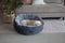 ON SALE NOW! 50% OFFI! Dog Central Black Removable Cushion Round Bed