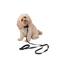 ON SALE NOW! 50% OFF! Dog Central Black Lead