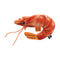 BBQ Prawn & Dipping Sauce Plush Toy with Squeaker