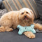 NEW COLLECTION: Dog Treats Reversible Charcoal Mint Plush Bone Toy with Squeaker