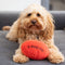 NEW COLLECTION: Plush Paw Football with Squeaker