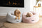 NEW COLLECTION: Dusty Pink Plush Donut