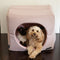 Como Pink Pet Cube