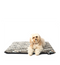 Boney Maloney Bone Flat Bed