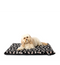 Hot Diggety Dog Flat Bed
