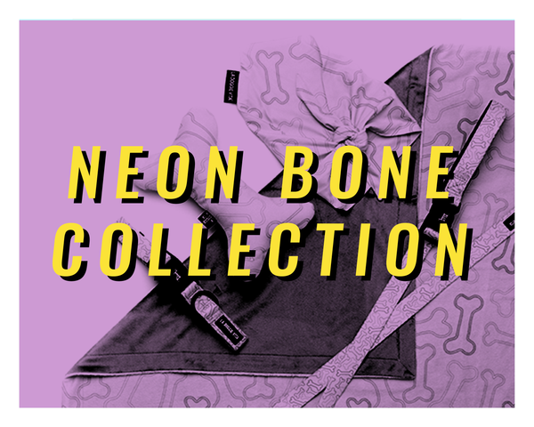 Neon Bone Collection