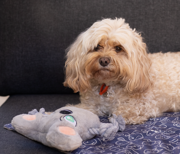 Plush