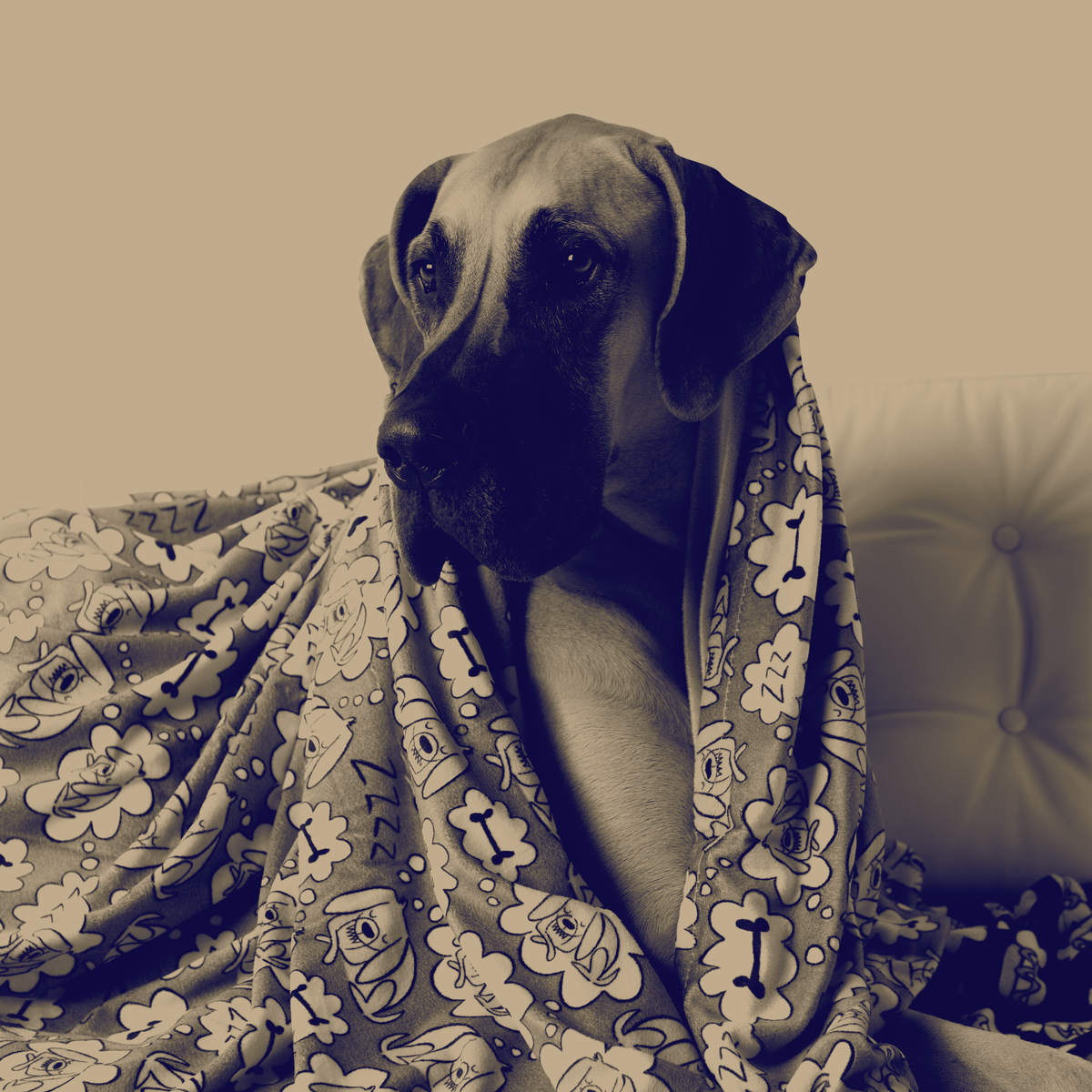 Welcome To La Doggie Vita Luxury Blankets Toys