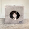 NEW COLLECTION: Mousse Velour Corduroy Large Cat Cube