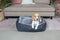 Dog Central Black Bolster Bed