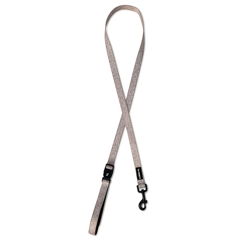 Dog Central Taupe Lead