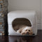 NEW COLLECTION: Boucle Cream Pet Cube