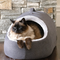 Hideaway Charcoal Cat Dome