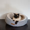 Hamptons Stripe Reversible Cat Donut