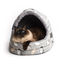 Kitten Around Hooded Cat House