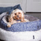 Dog Central Indigo Removable Cushion Round Bed