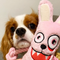 Psycho Bunny Plush Rope Toy With Squeaker